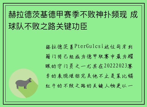 赫拉德茨基德甲赛季不败神扑频现 成球队不败之路关键功臣